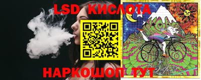 индика Боровичи