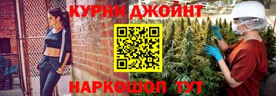 индика Боровичи