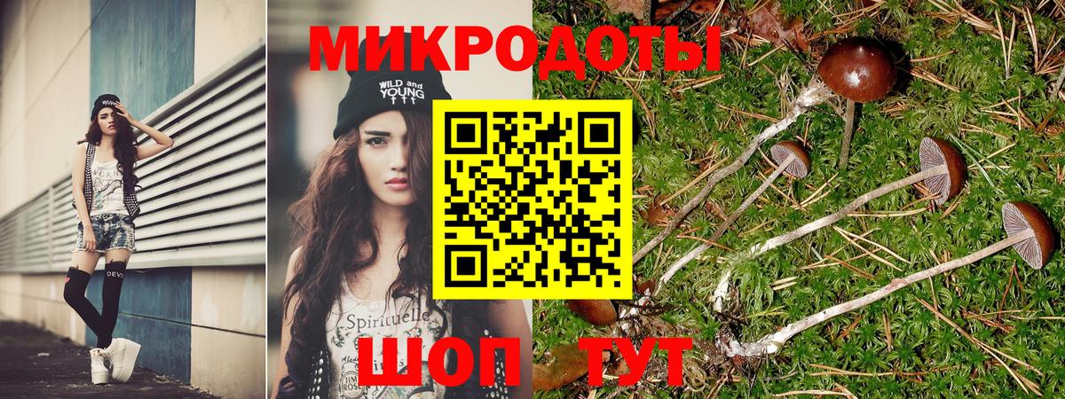 Галлюциногенные грибы MAGIC MUSHROOMS  Галлюциногенные грибы Psilocybe  Вход с VPN  где продают наркотики  Городец 